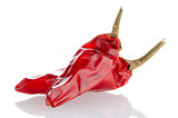 Two red hot chili pepper
