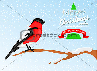 Christmas background with Bullfinch bird