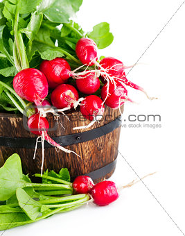 Vegetables fresh radish in wooden bucket