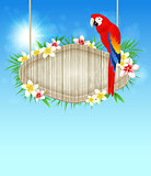 Background with red parrot