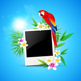 Background with red parrot and photo