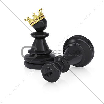 Black defeated chess king is near pawns