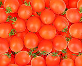 Background of ripe red tomatos