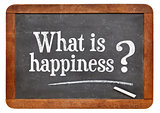What is happiness question