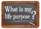 What is your life purpose question