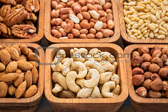 cashew and other nuts abstract