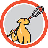 Dog Lacrosse Player Crosse Stick Cartoon Circle