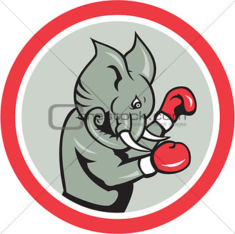 Elephant Boxer Boxing Circle Cartoon