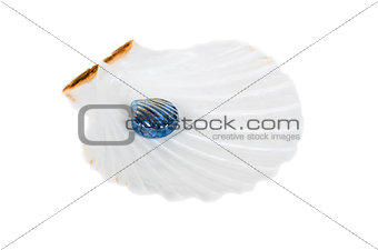 Glass pearl in ocean shell isolated