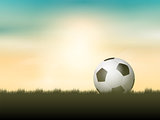 Soccer ball or football nestled in grass