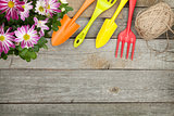 Potted flower and garden utensils
