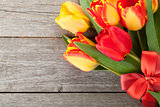 Fresh colorful tulips with ribbon and bow