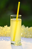 Glass of natural elderflower juice with lemon.