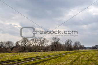 Spring landscape with the field and expensive
