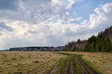 Spring landscape with a road and clouds