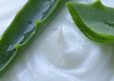 cosmetic cream lotion with natural green fresh aloe vera