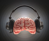 Brain Recording