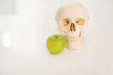 Closeup on human skull and apple on table