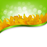 Yellow Lilies Card