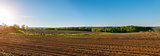 Panorama of agricultural field in springtime