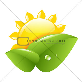 Sun And Leaf