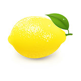 Yellow Lemon With Leaf