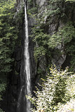 Waterfall Pevereggia, Switzerland