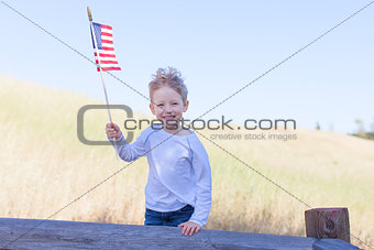boy celebrating independence day