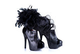 Black high heel female shoes and elegant feather hat 