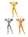 Abstract bodybuilder figure