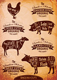 vector diagram cut carcasses chicken, pig, cow, lamb