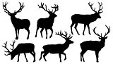 deer silhouettes