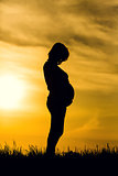 Pregnant woman on sunset background