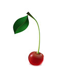 Cherry with leaf