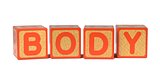 Body on Colored Wooden Childrens Alphabet Block.