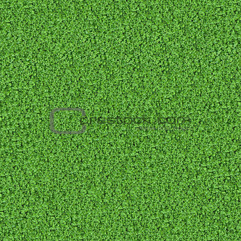 Young Green Grass. Seamless Tileable Texture.