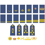 Canadian Air Force insignia