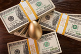 Golden Egg and Thousands of Dollars Surrounding