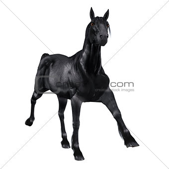 Black horse