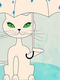 Cat under rain