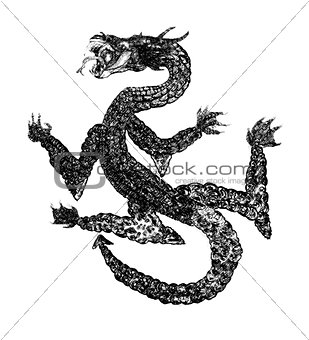 Illustration of dragon