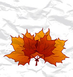 Autumnal maple leaves, crumpled paper texture