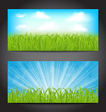 Set summer cards with grass, natural backgrounds
