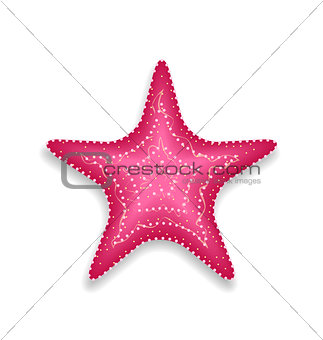 Pink starfish isolated on white background
