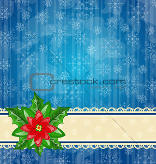 Christmas wallpaper with flower poinsettia