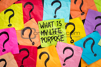 life meaning concept and purpose