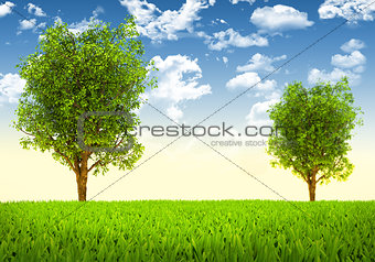 Trees and green landscape