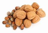 group of walnuts and hazelnuts