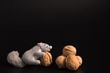 Squirrel and Walnuts