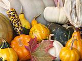 fall squash gourds